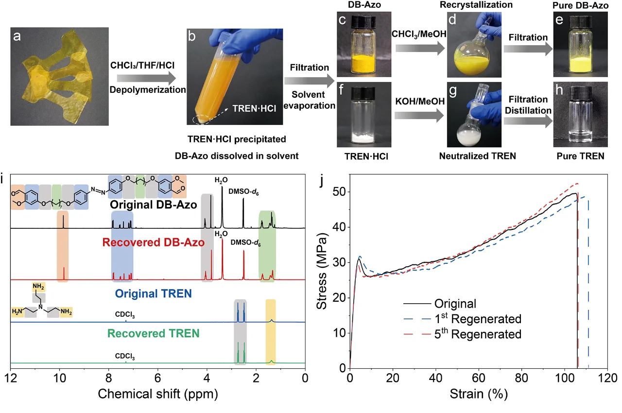 ?吉林大学Angew：动态液晶网络?