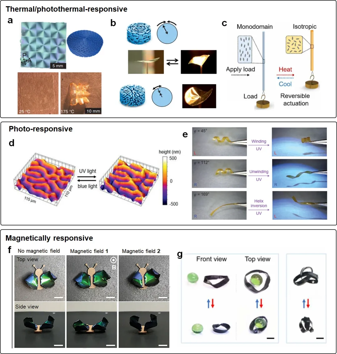 综述：基于液晶聚合物的软体机器人和致动器
