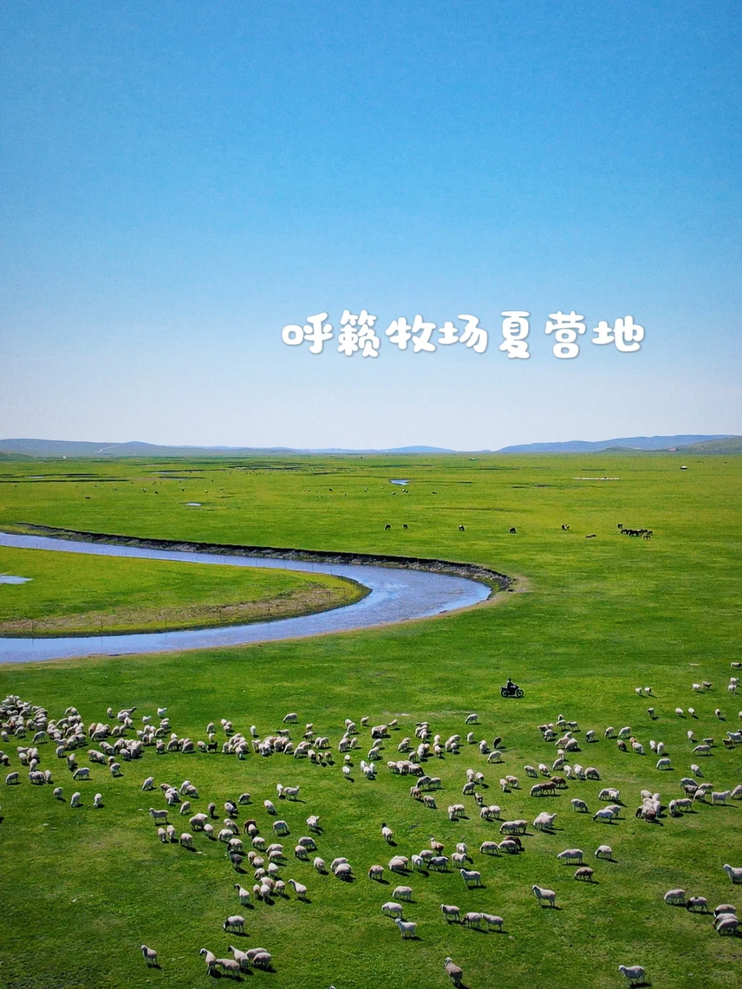 来自草原的90后牧场主说一说羊肉行业的秘密