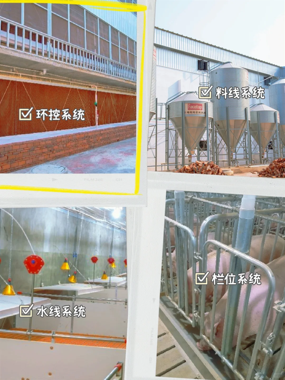 “呕心沥血”整理的养猪设备干货，拿走不谢