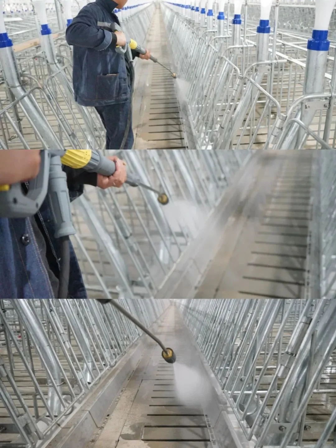 畜牧业清洁专题 | 第一期