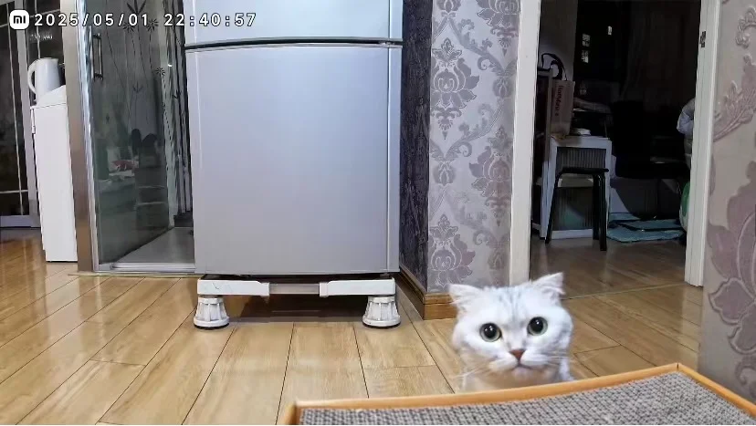 小米摄像头C700真的好用吗?