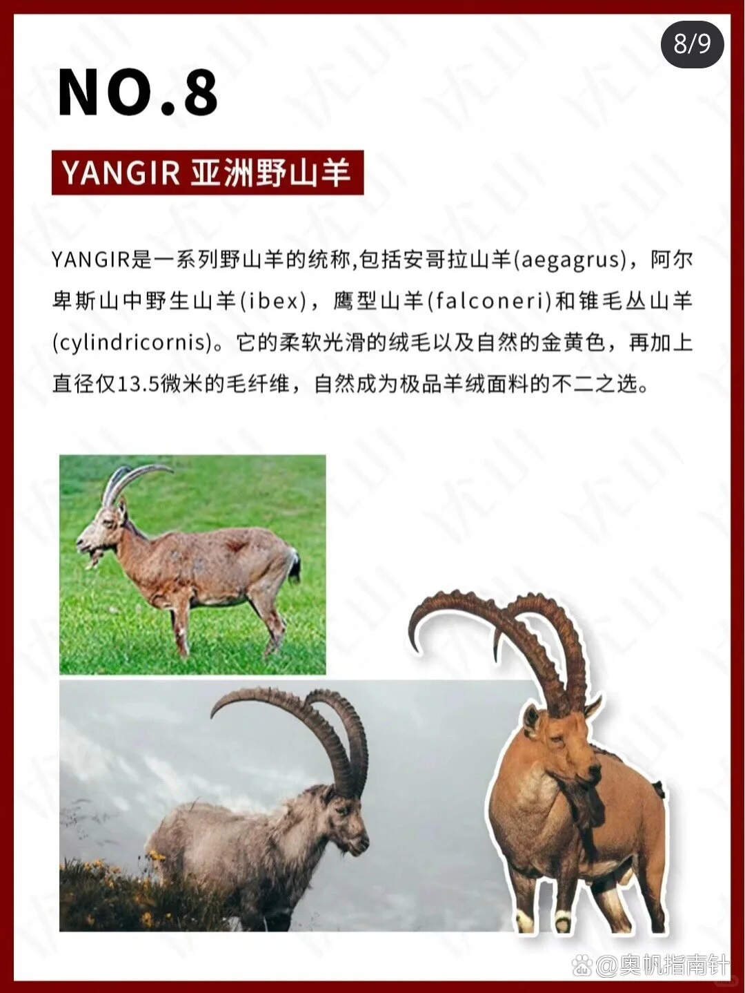 ??摸过就忘不掉的神级面料！大佬衣橱