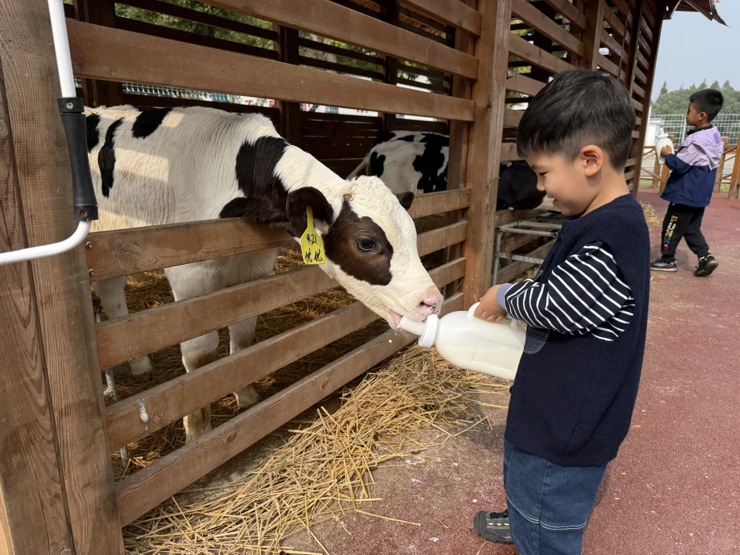 金山光明牧场｜上海周末免费遛娃