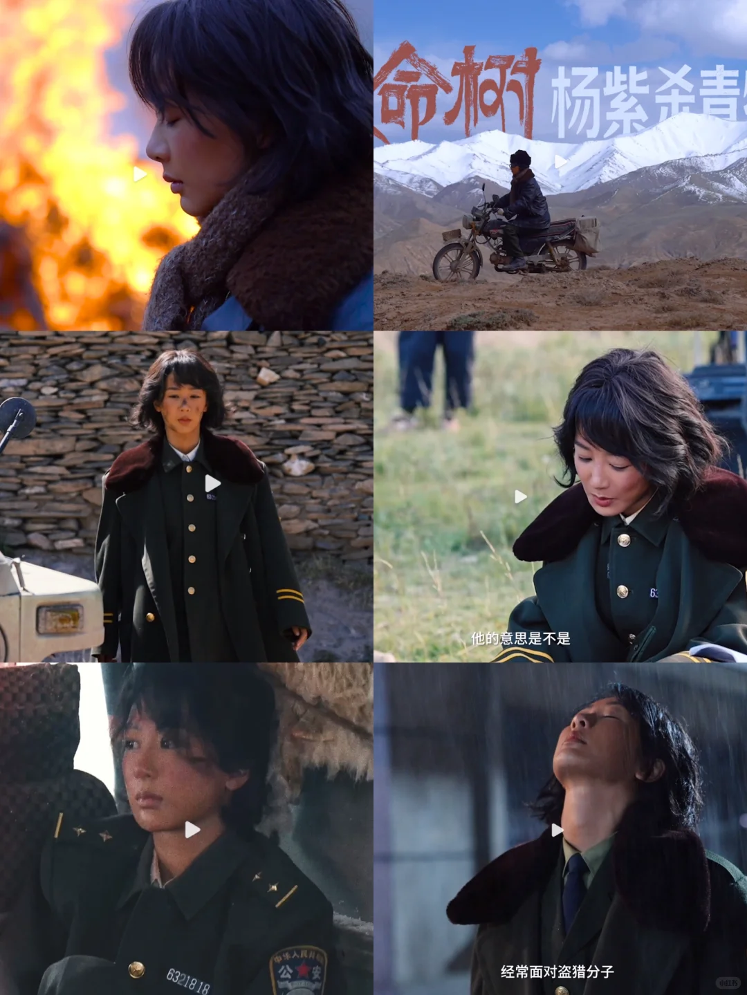 杨紫生命树杀青特辑，敬佩演员们的敬业