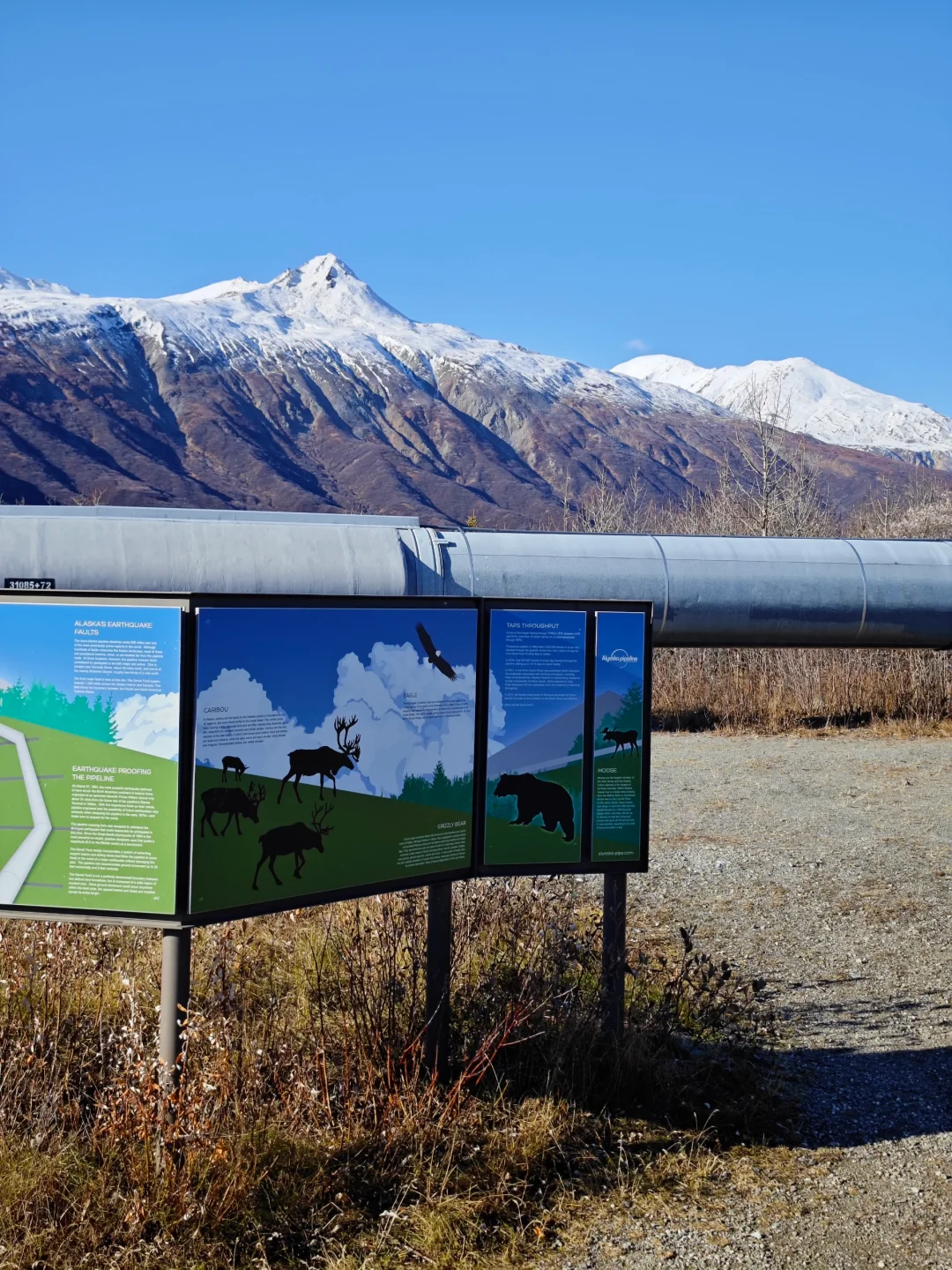 阿拉斯加输油管道