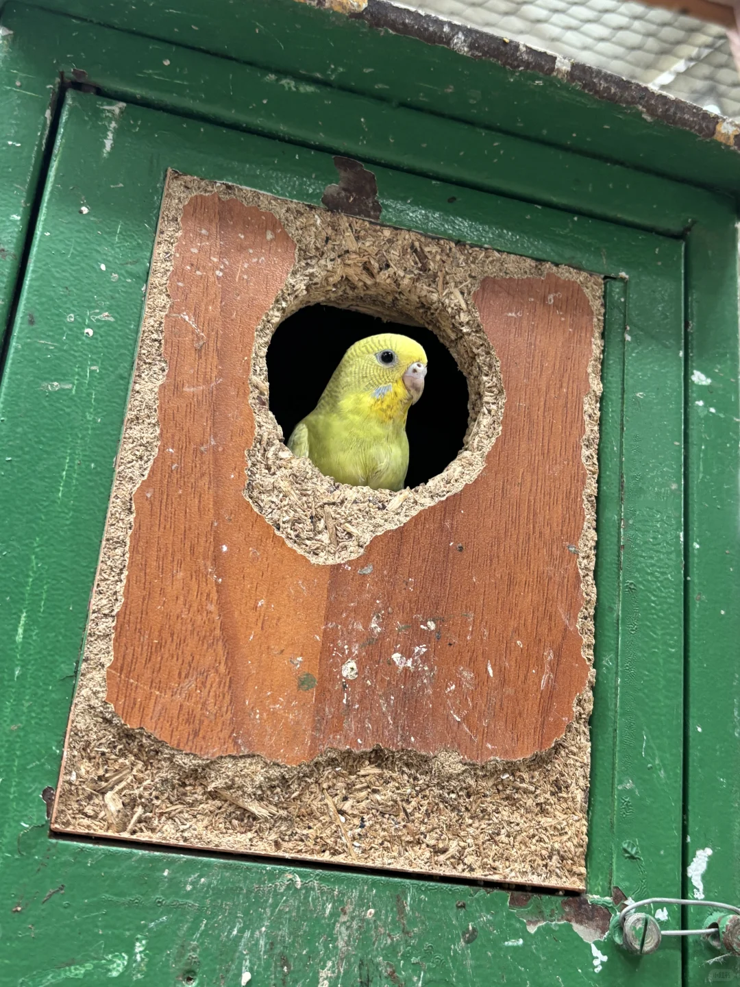 北京博物馆分享第二十九站—北京地热博览馆！