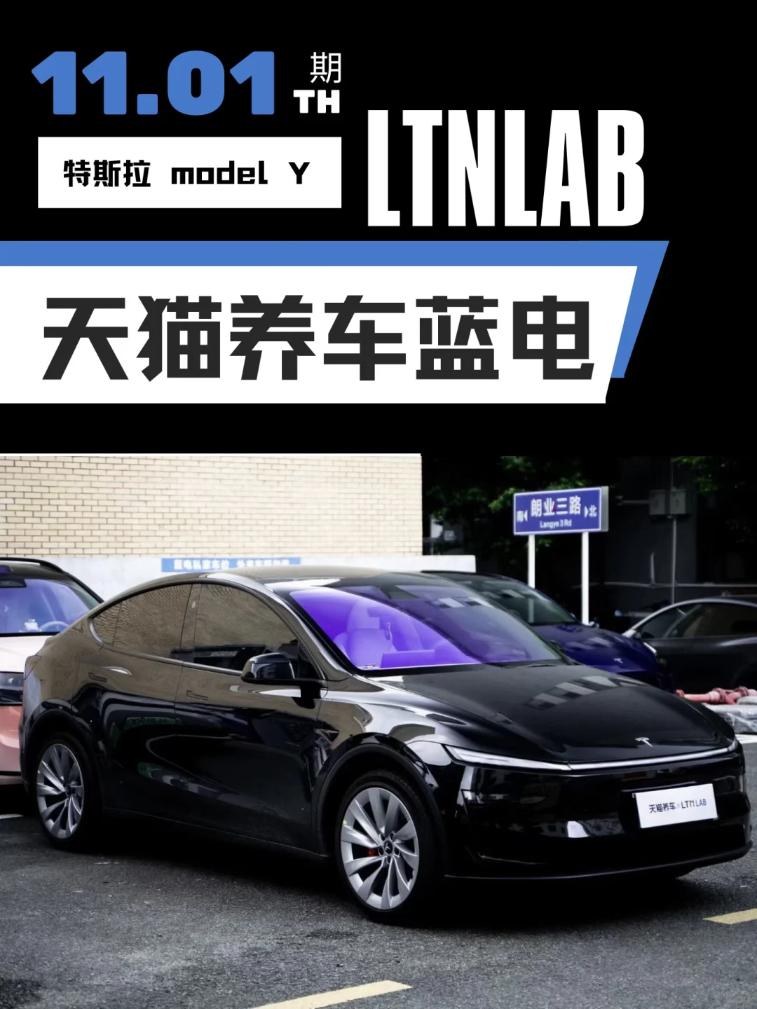 紫色?才显得更有韵味