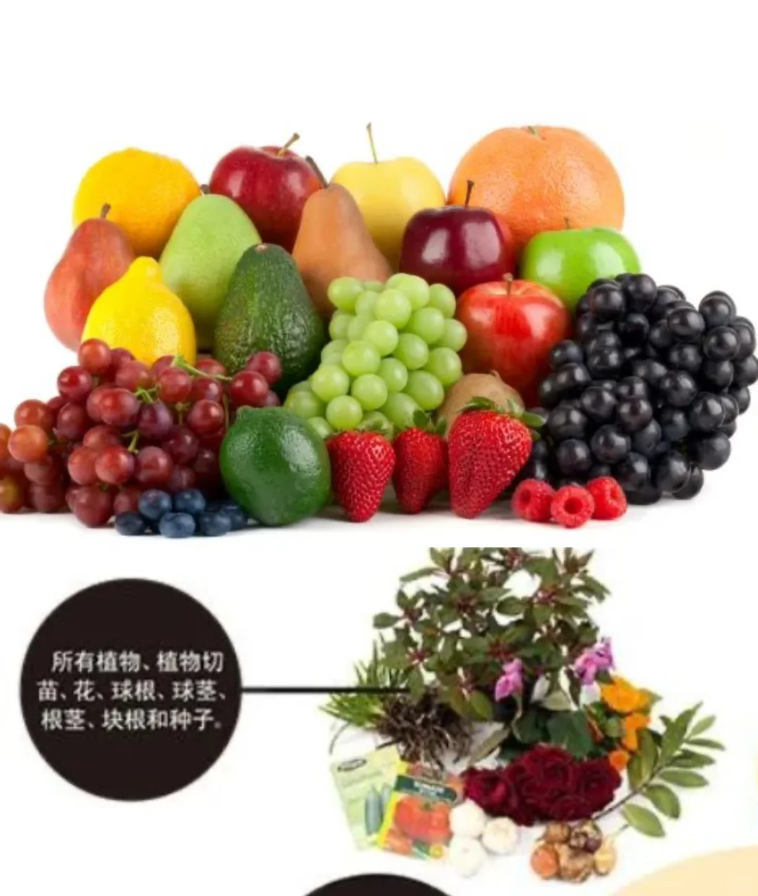 新西兰旅行|NZ入境有新规,一文读懂,速看!