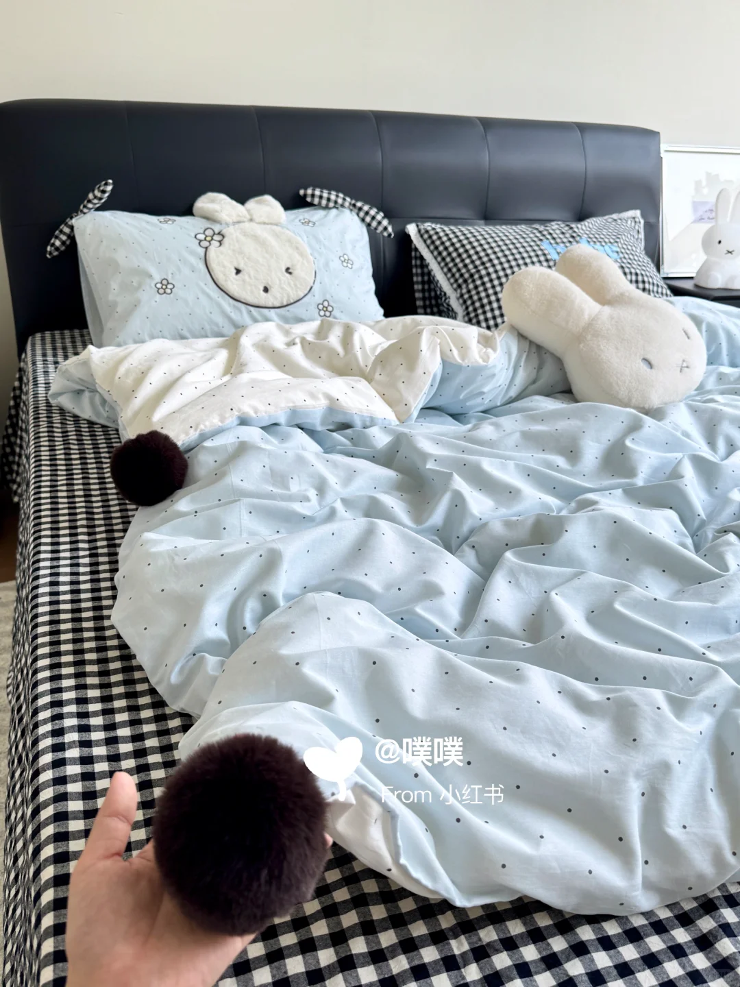 ‧ ༝ ‧呜呜呜我的浅浅蓝米菲也太治愈了吧~?