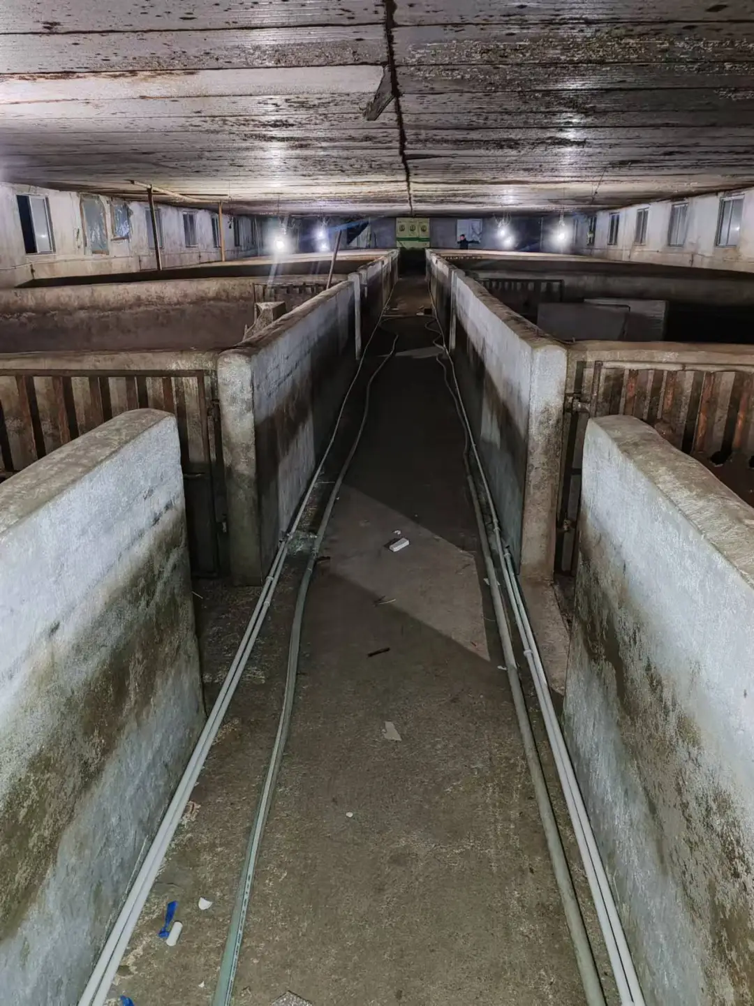 养猪场安装电地暖