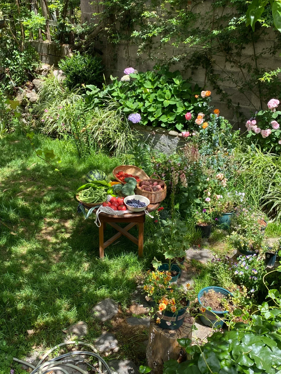 久违的乡村市集