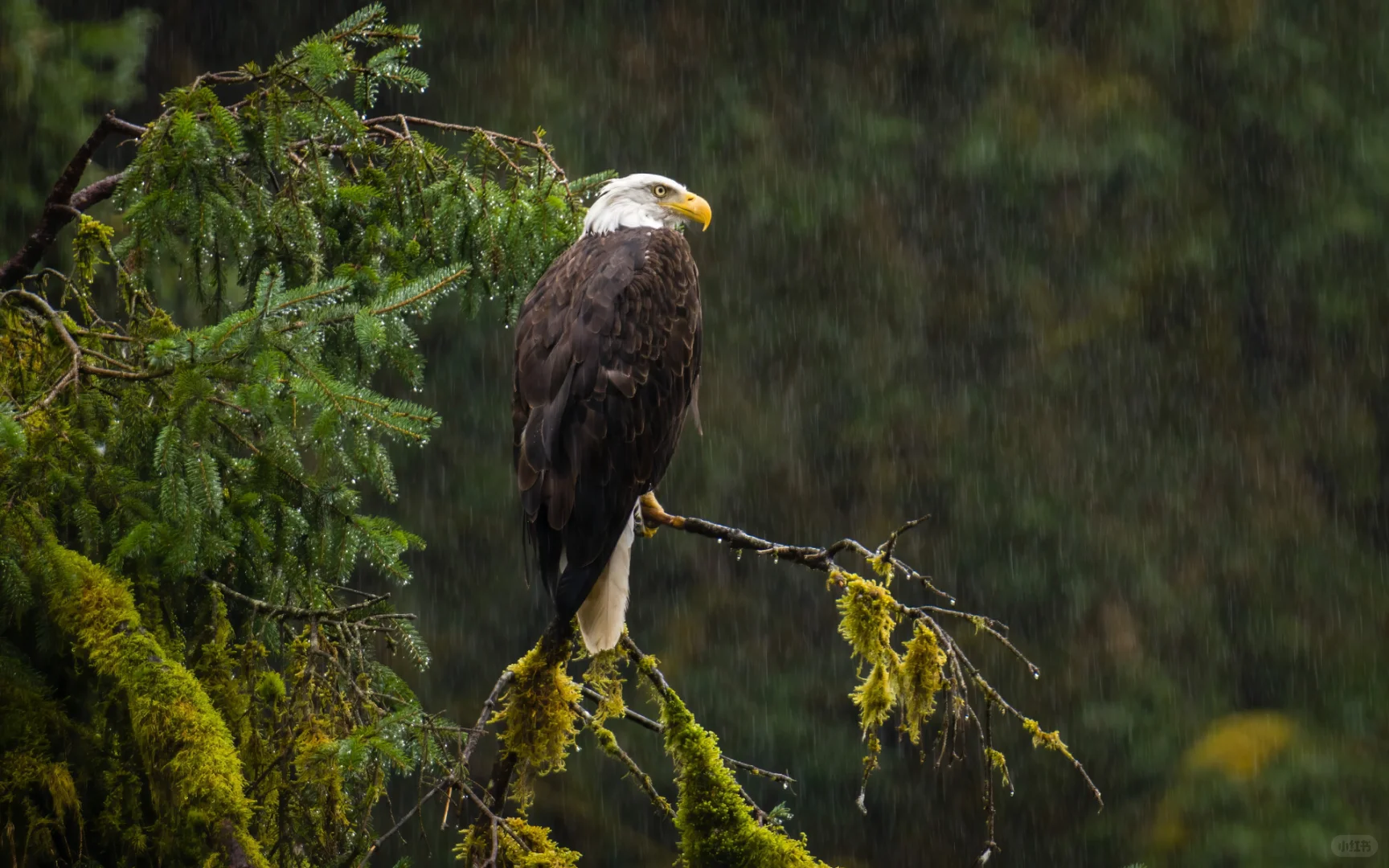 我用索尼a6700拍的照片