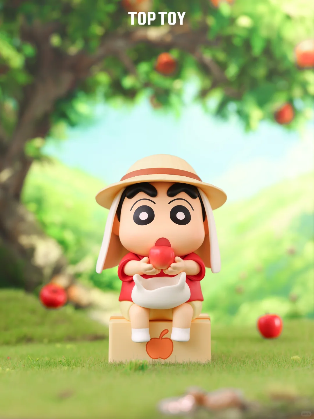 与小新相约在夏日的每一天