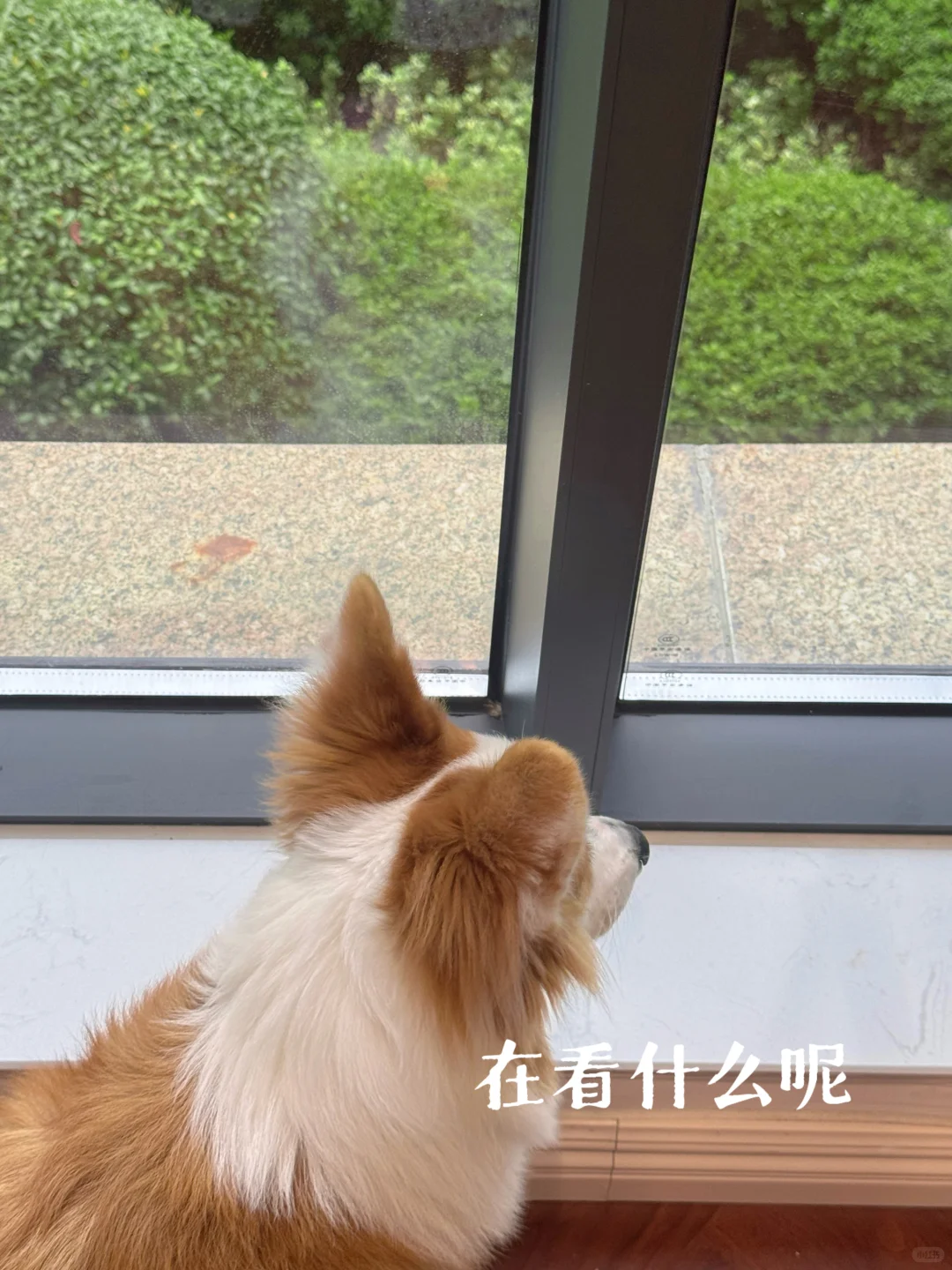 ?为了一扇窗 买了一套房真的值得吗?