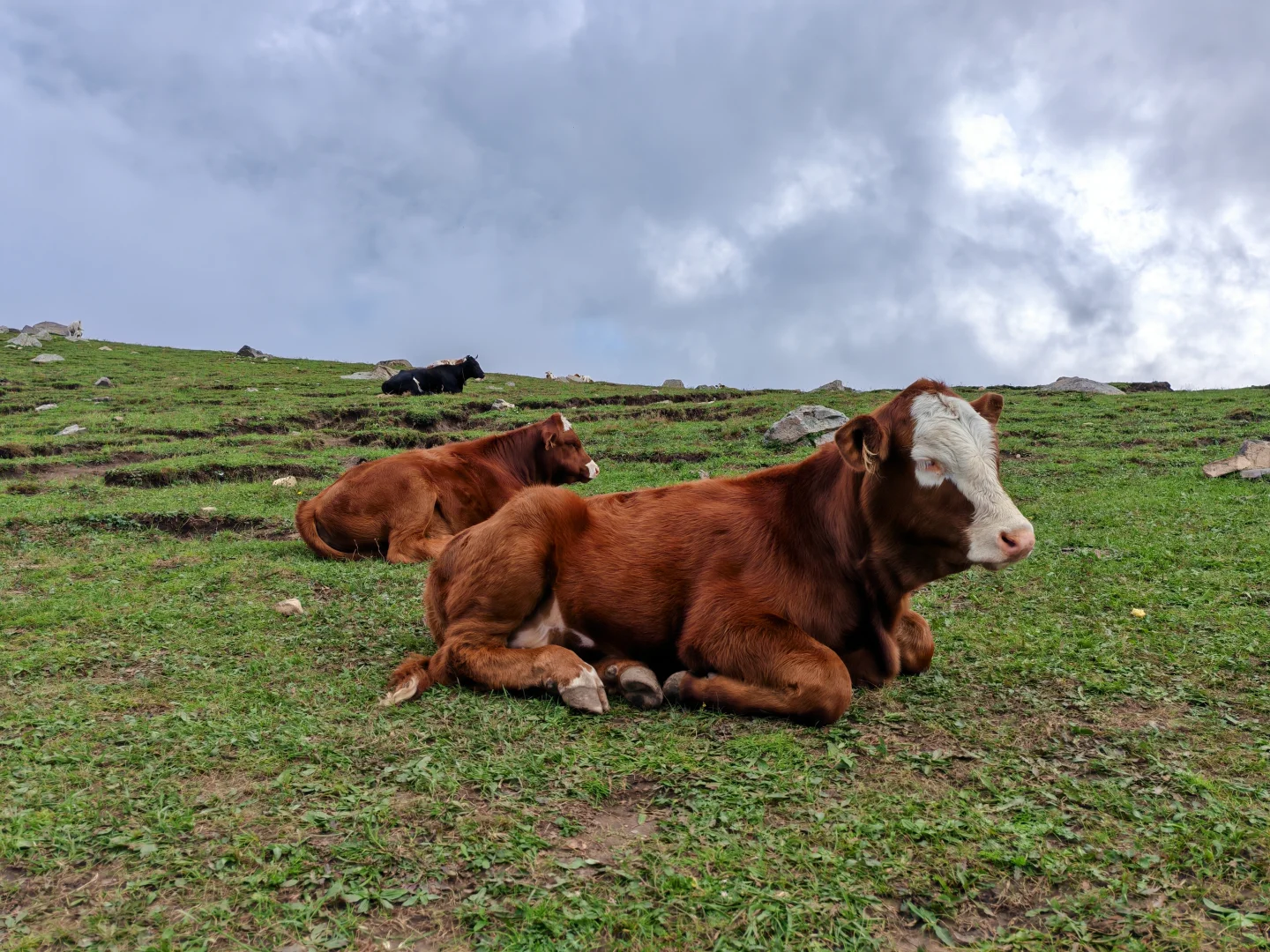 探秘东灵山废弃索道之谜