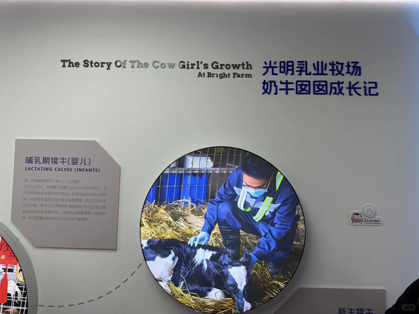 金山光明牧场｜上海周末免费遛娃