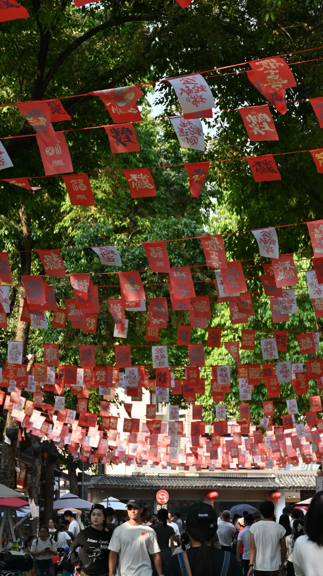 太好了！是尼康