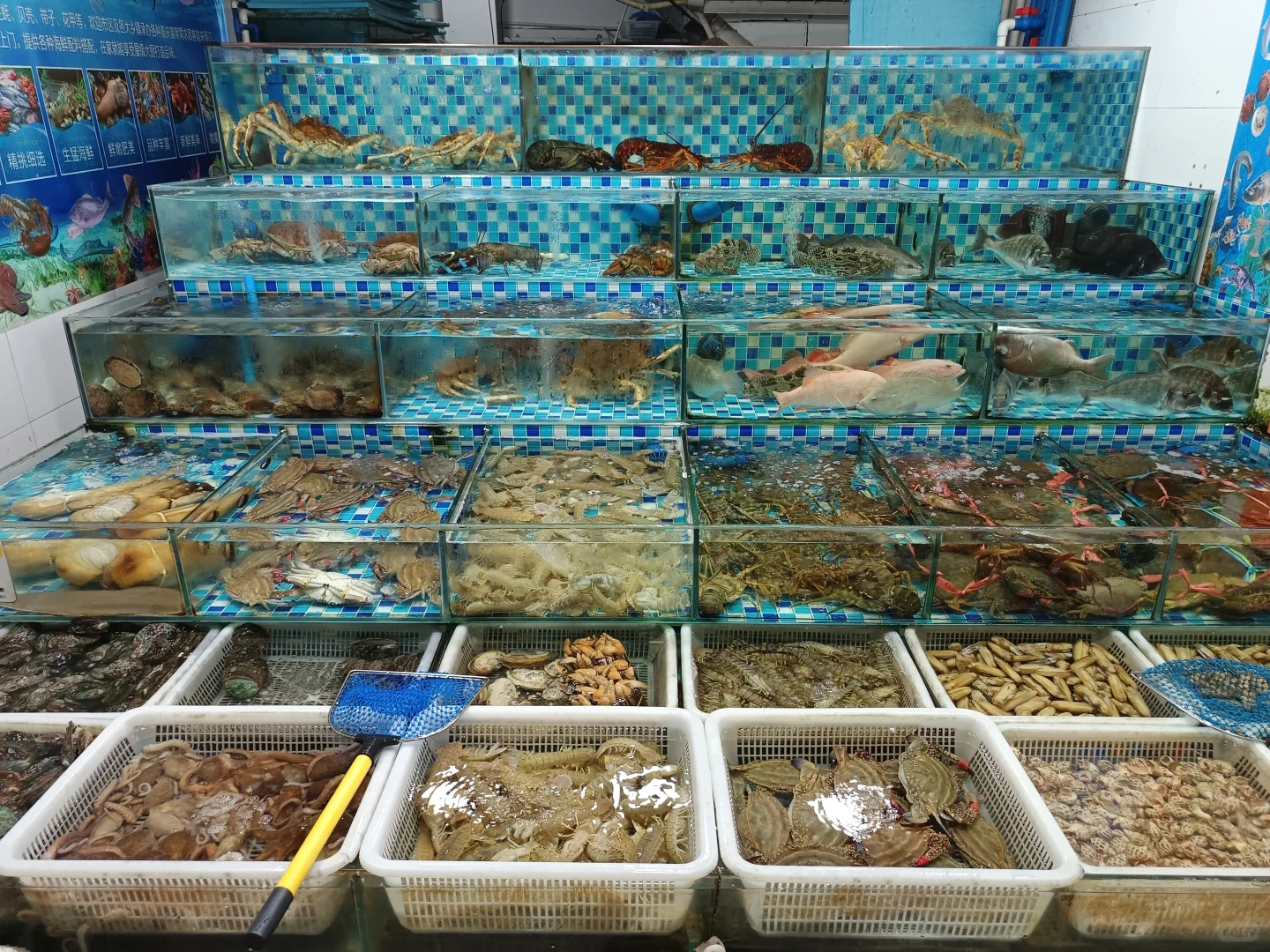 菜市场——桃源街生活圈第九站