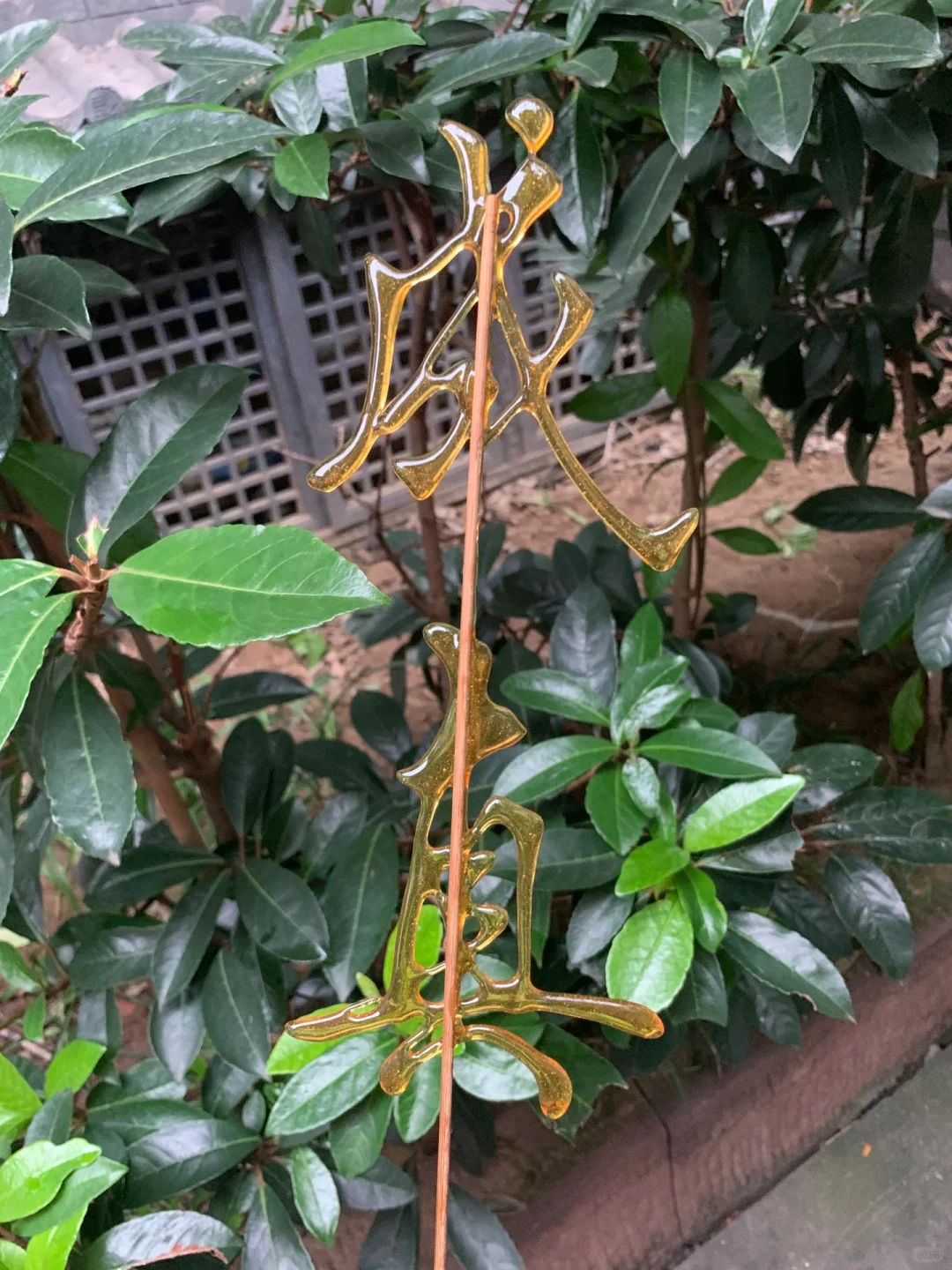 好看的糖画太多了