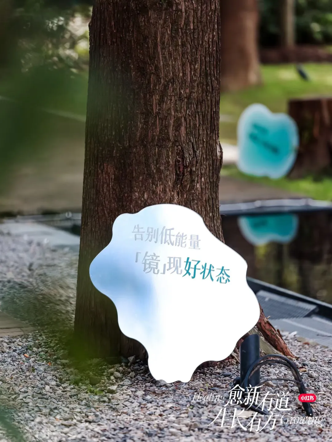 《2025小红书健康行业峰会》