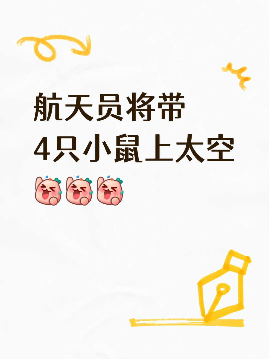 4只小鼠，要上天了！