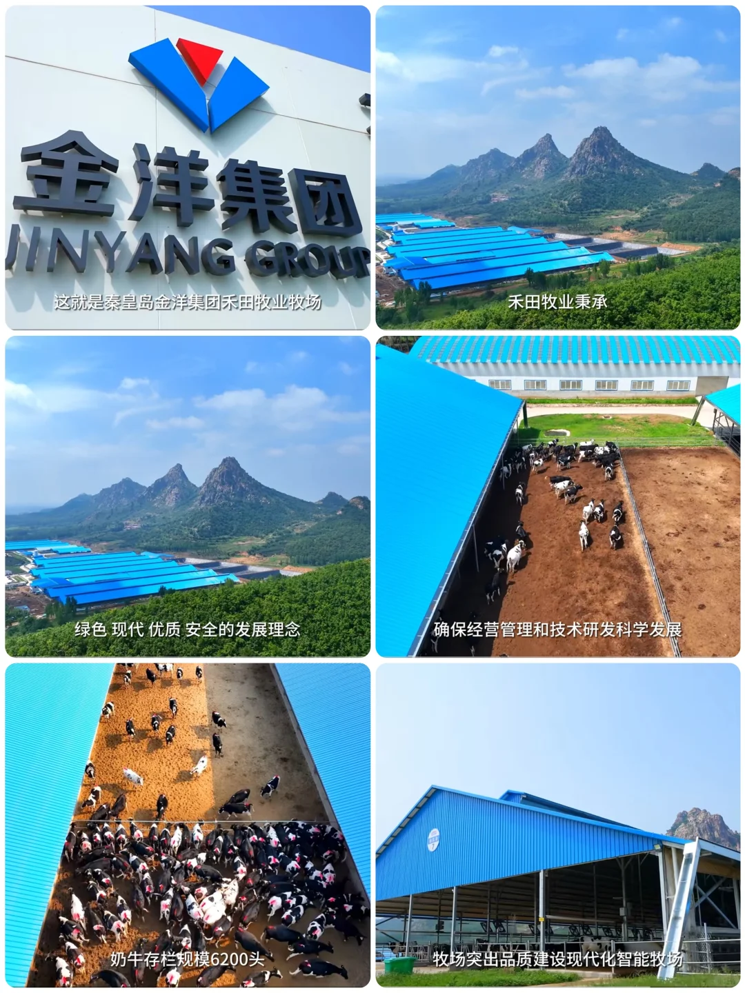 别再羡慕其它城市鲜奶了⚠️秦皇岛鲜奶配送