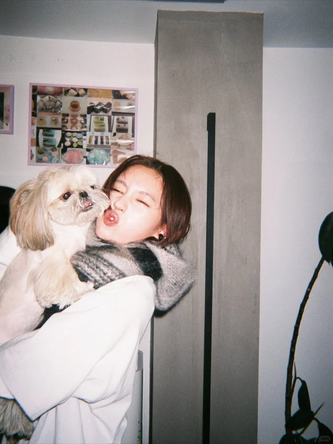 碳酸饮料拜拜ins更新?