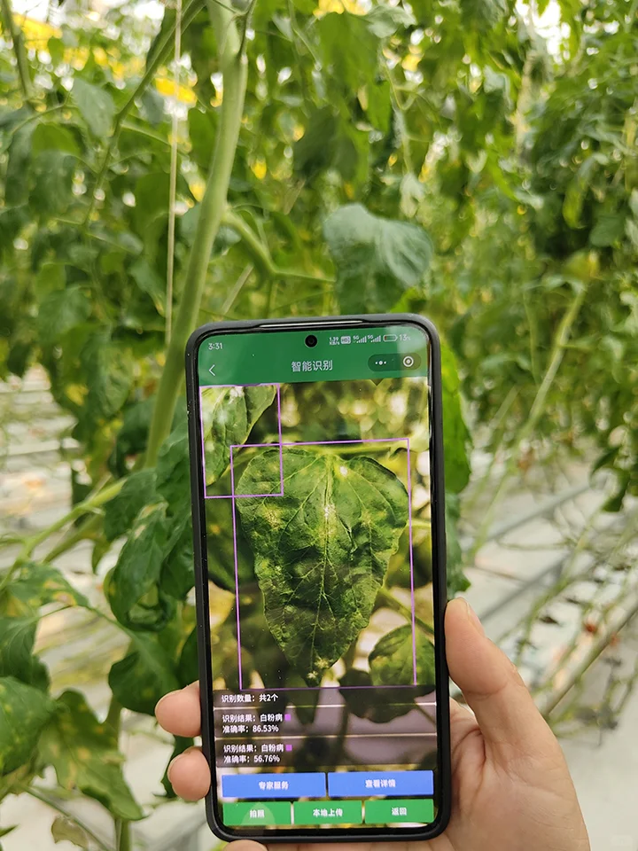 设施农业的发展中面临的三大矛盾及解决路径