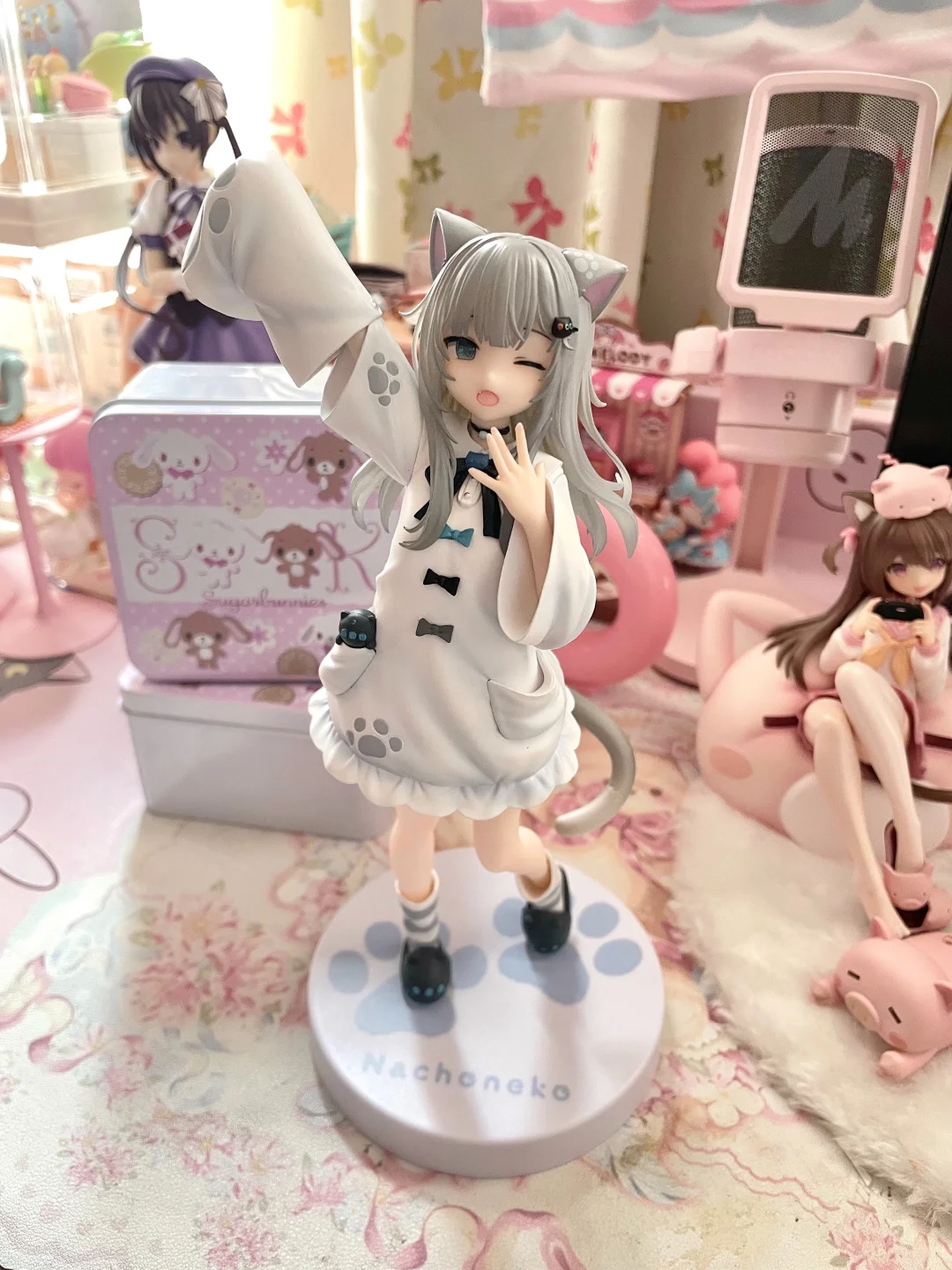 等了半年的猫猫(ㅅ´ ˘ `)！