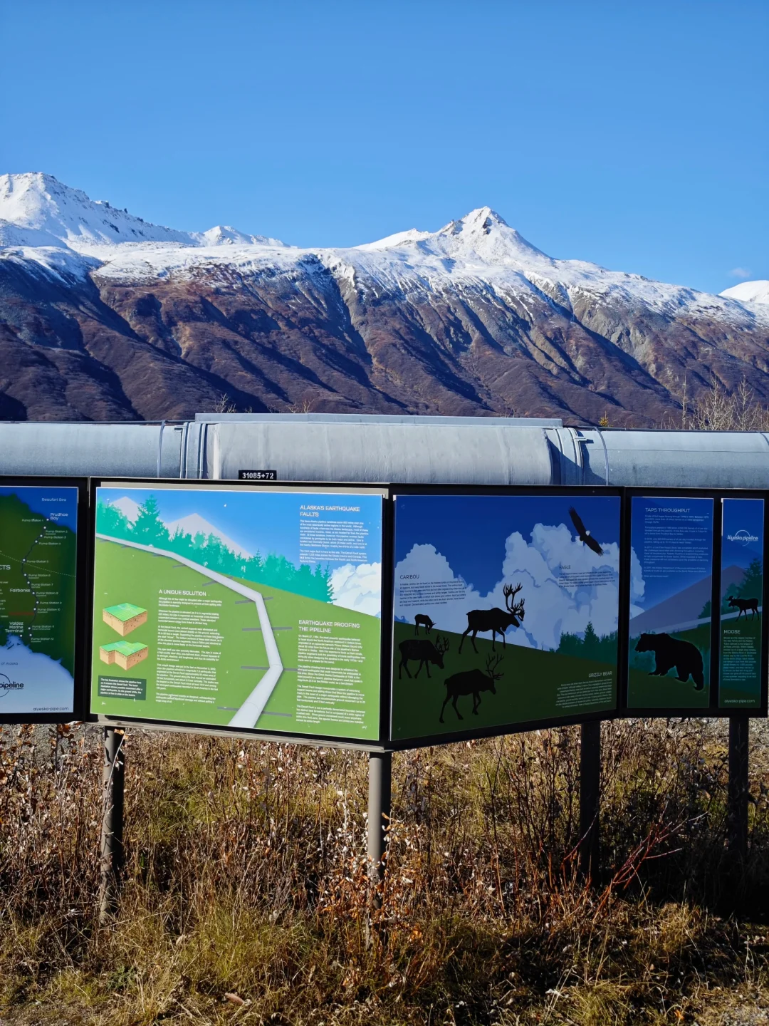 阿拉斯加输油管道