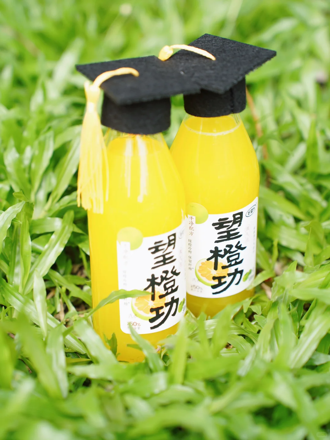 望成功｜望橙功“成功”在握，考试加油！