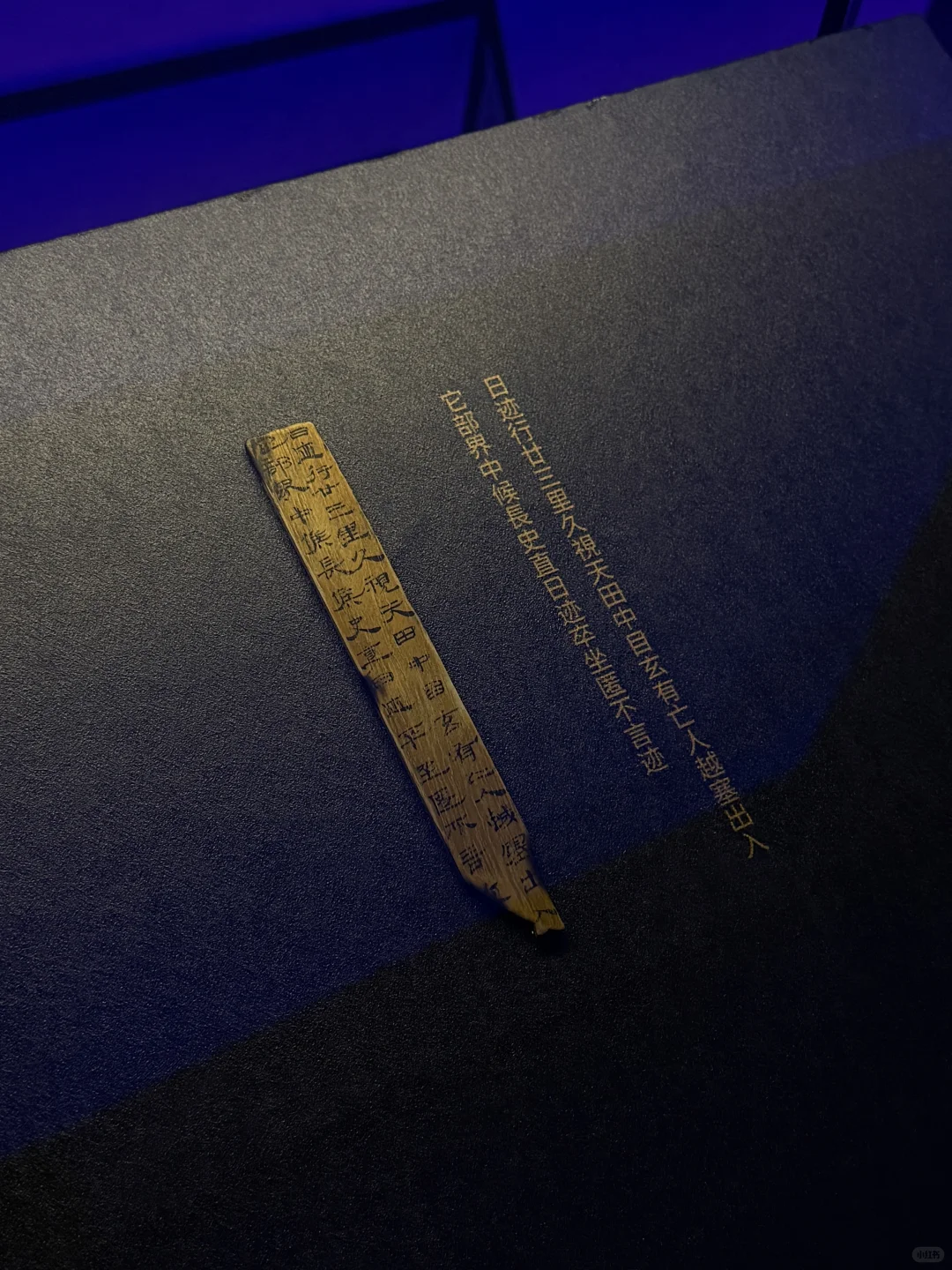 巴丹吉林沙漠里的沉睡的西夏 |黑水城遗址