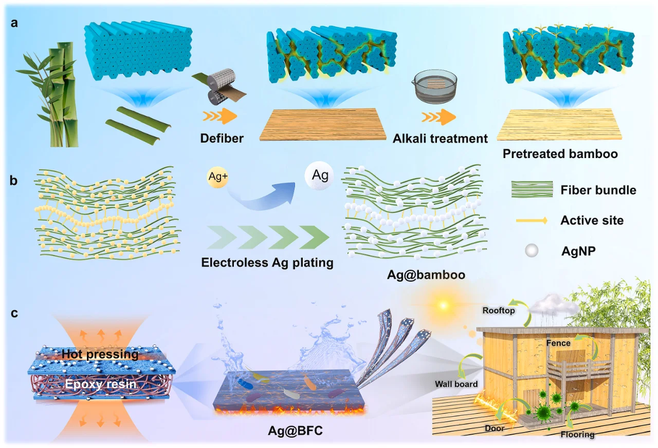 0401 制备多功能竹基纤维复合材料-科研绘图