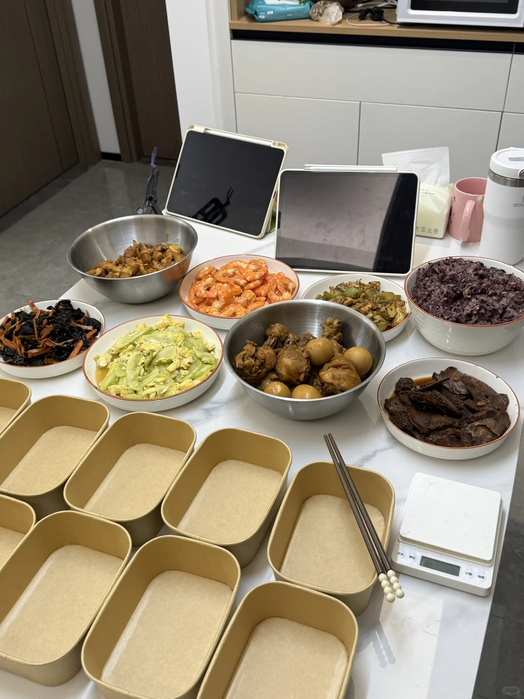 冻门永存 冷冻即永存