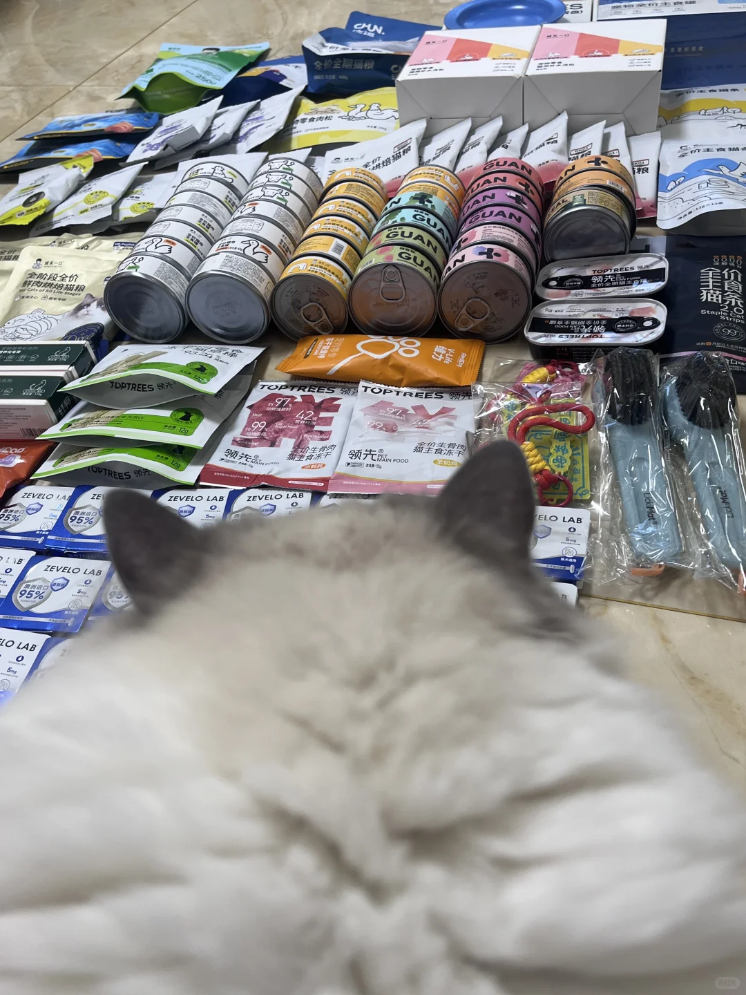 明年大概率不去了！！！2025它博会战绩➕经验