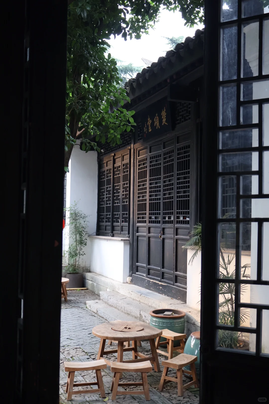 佳能r50狗都不买