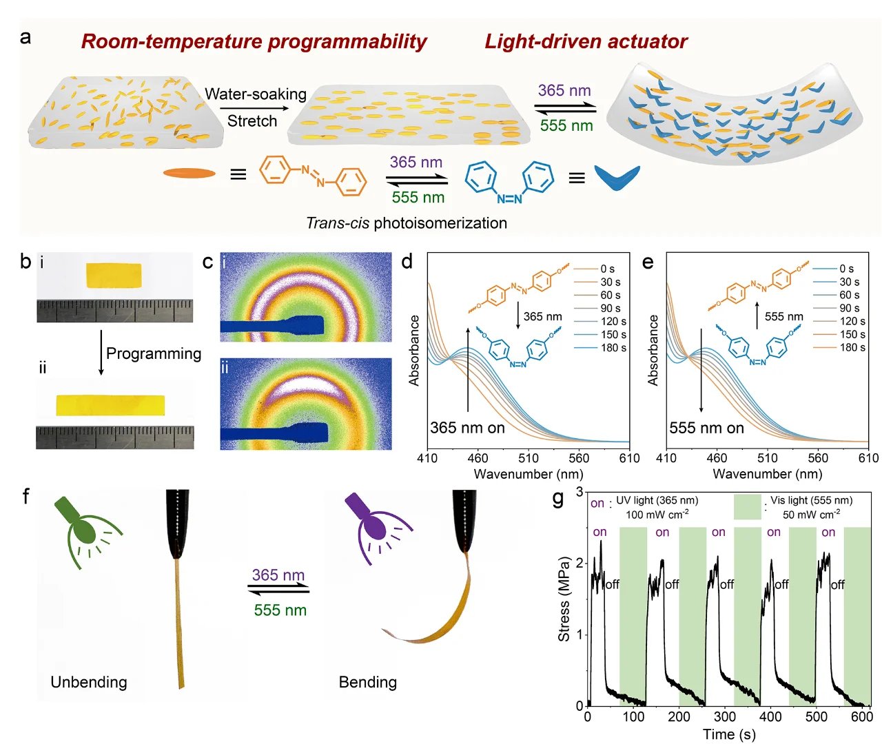 ?吉林大学Angew：动态液晶网络?