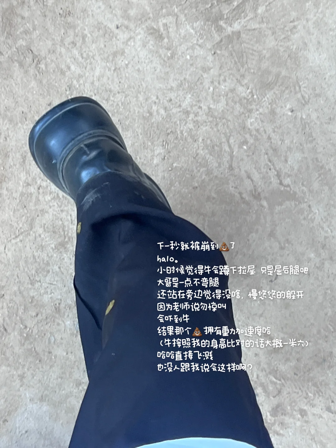 兽医系?牛场实践我会假装自己是个chillguy