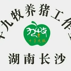 默默耕耘几十年，出手即巅峰