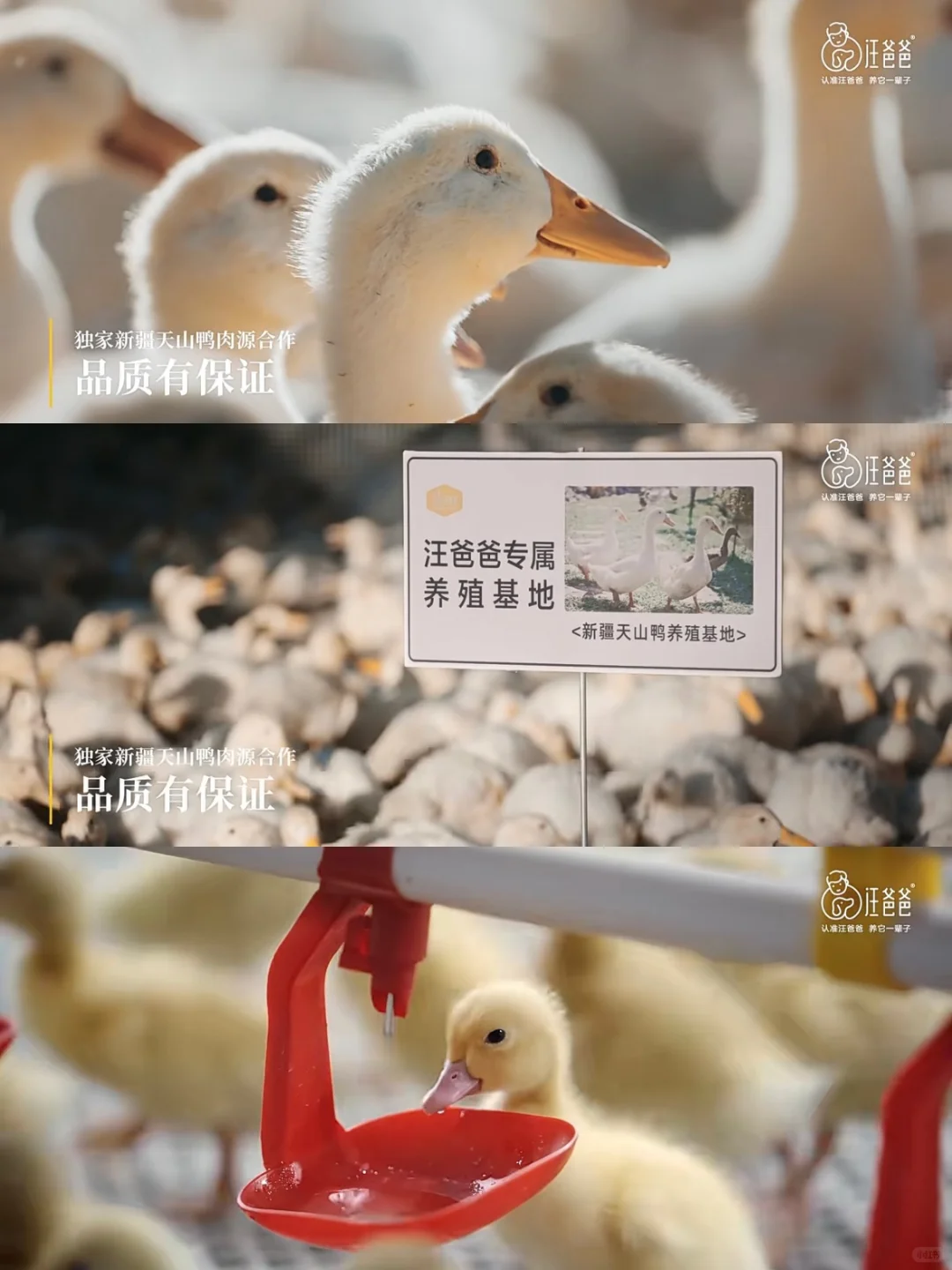 这下必须得承认国产粮确实越做越好了