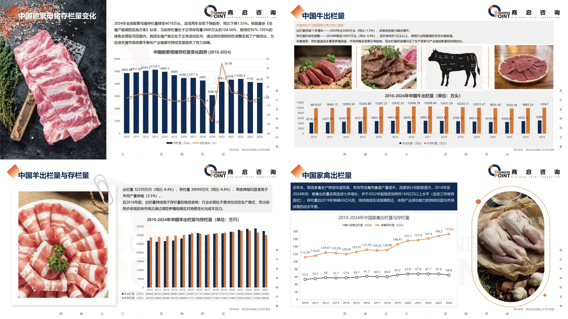 ? 商启咨询 肉制品行业研究报告