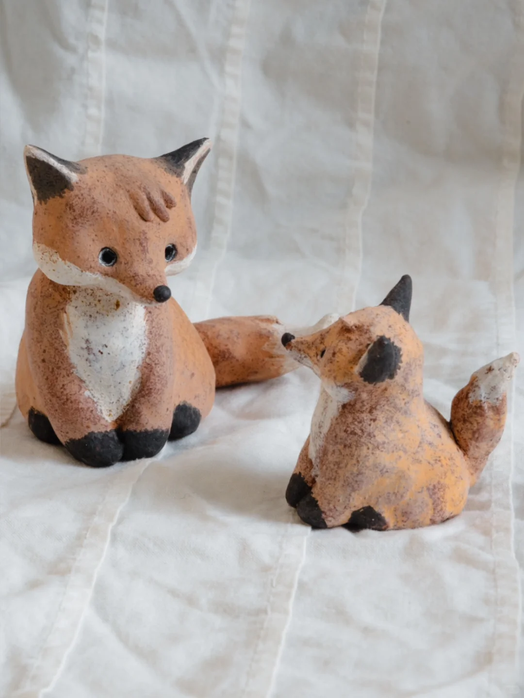 自己拍的小狐狸过于难看被朋友狂卷一顿