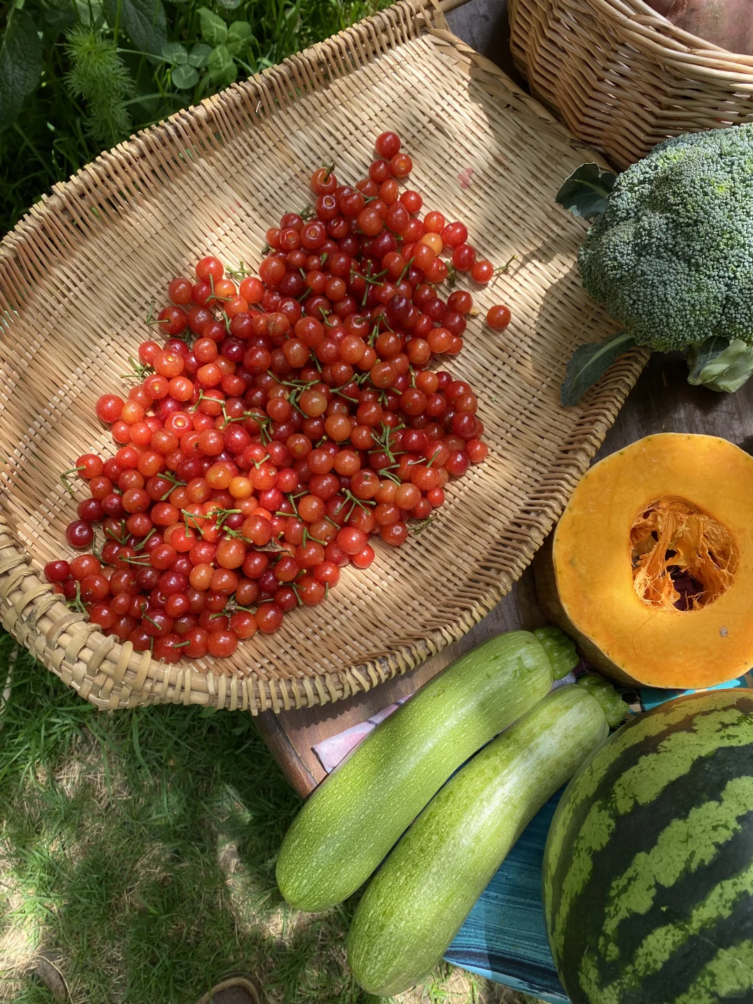 久违的乡村市集