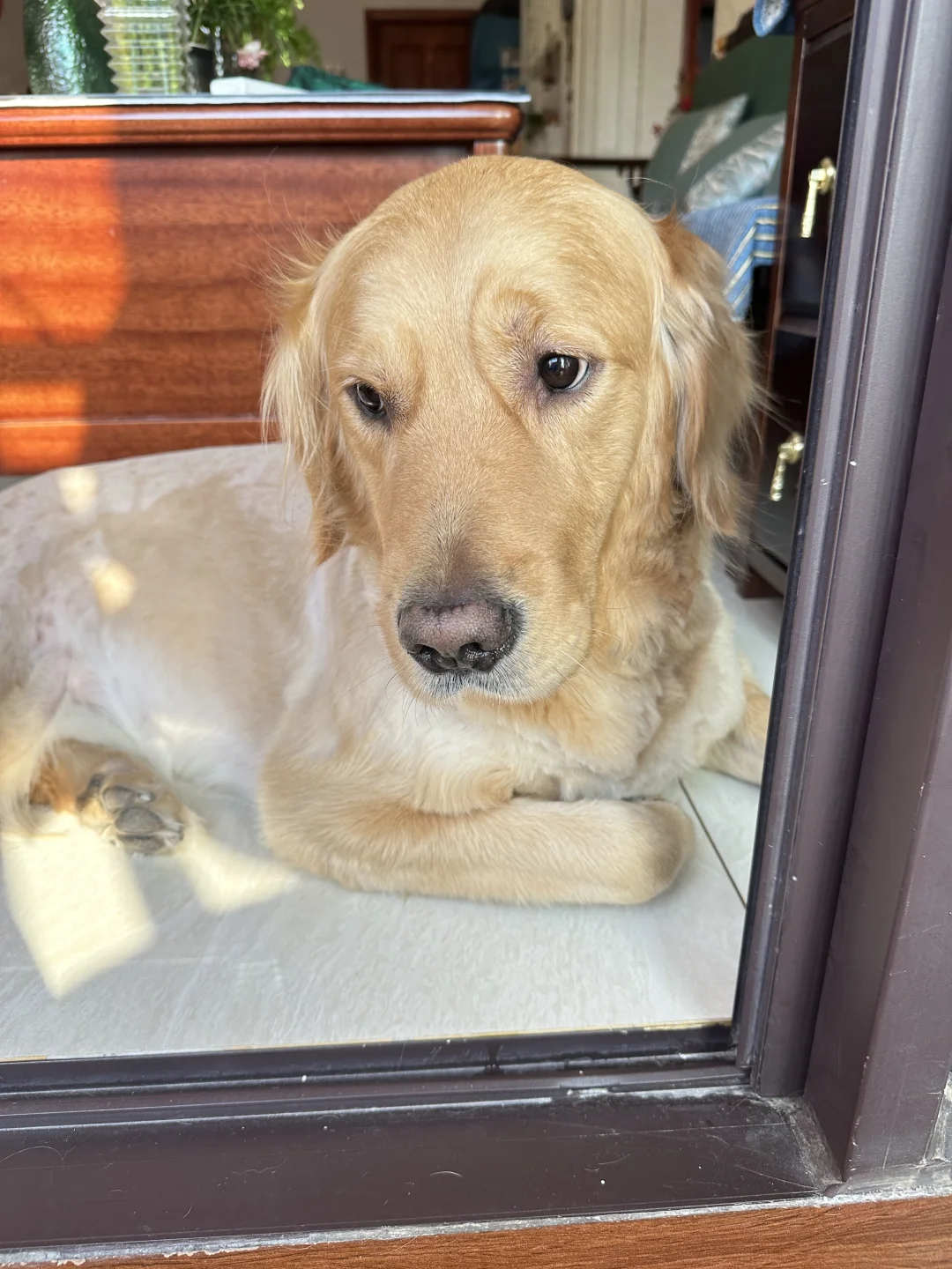 这下必须得承认国产粮确实越做越好了