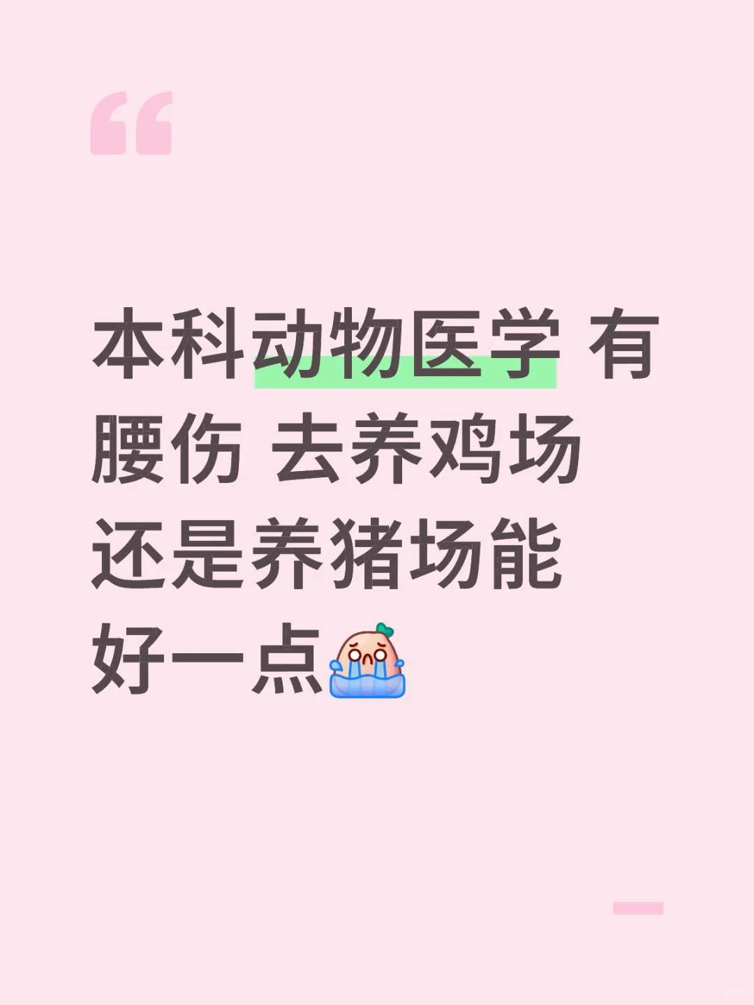 动物医学找工作