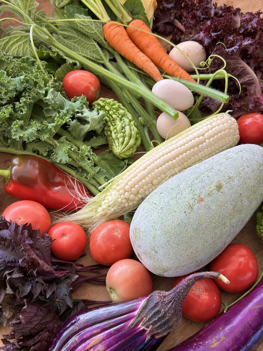 自从在农场租了菜地，我们实现绿色蔬菜自由