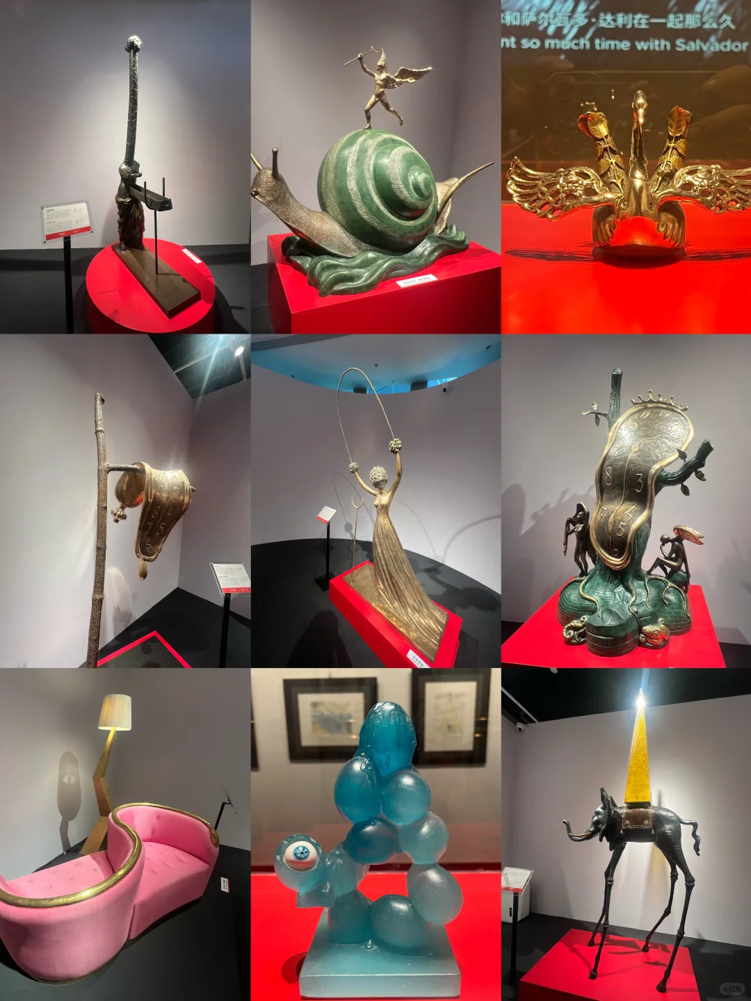 达利的形状｜中国巡展·珠海横琴臻林站