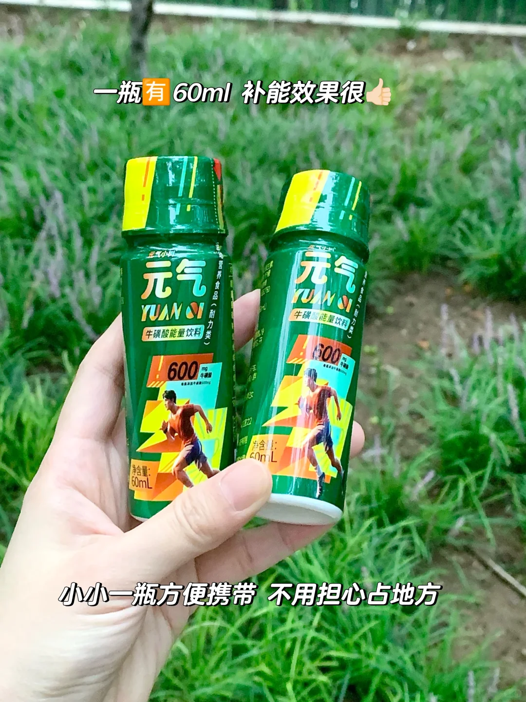 元气小树 活力满?