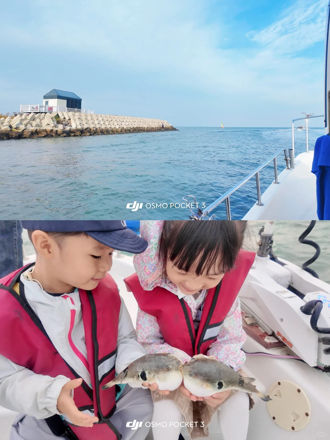 ?带娃来阿那亚，这16件事不做等于白来